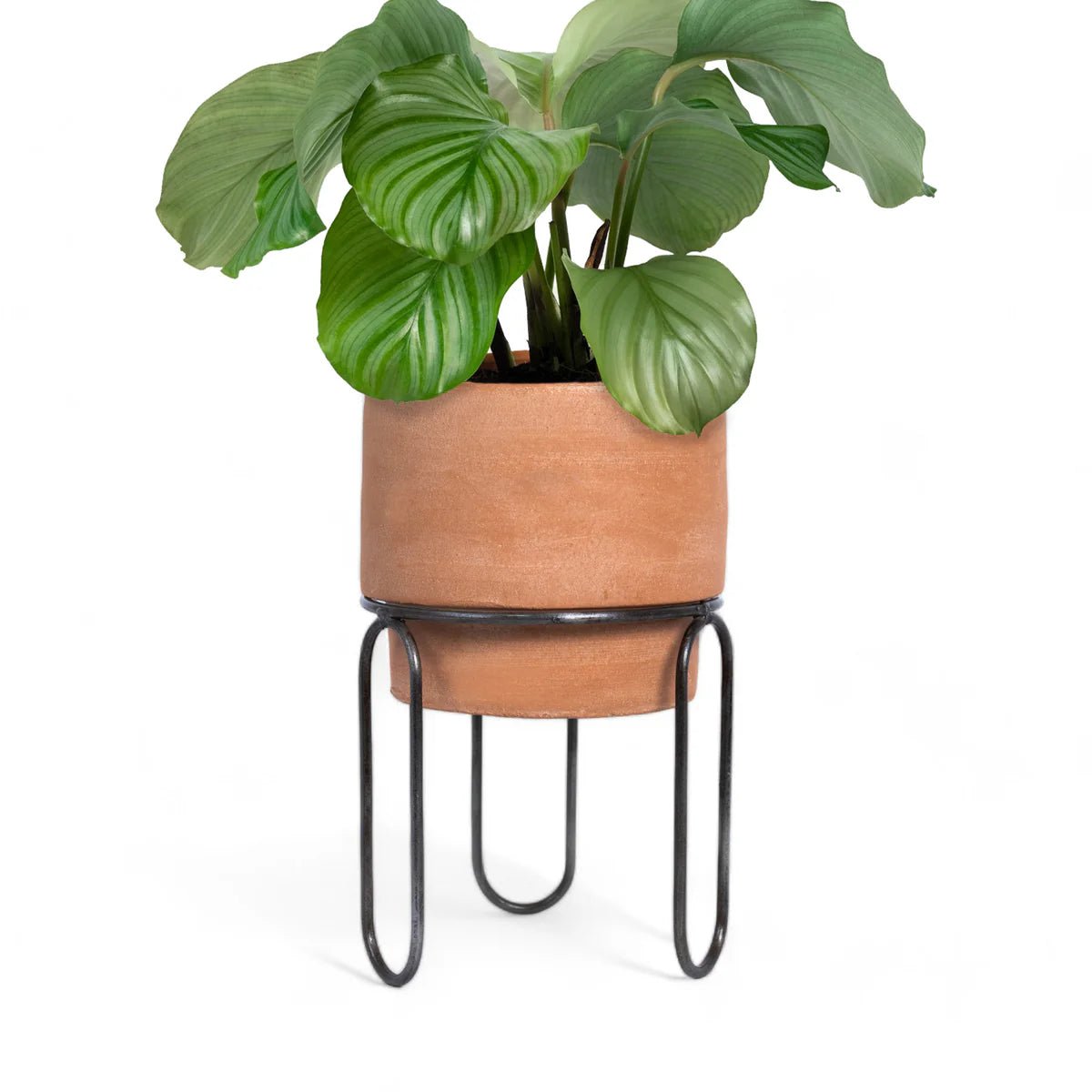 Jaro Medium Terracotta Planter - Freedom Ranch