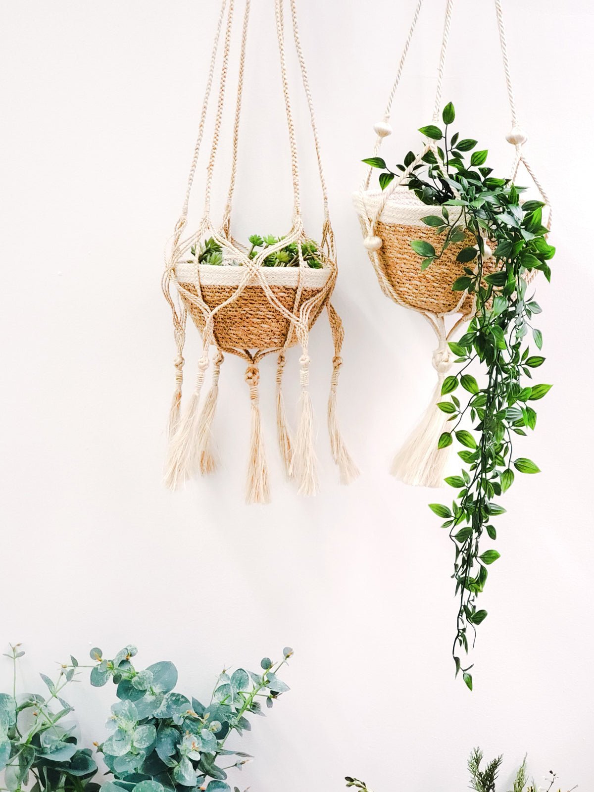 Plant Hanger - Nadu - Freedom Ranch