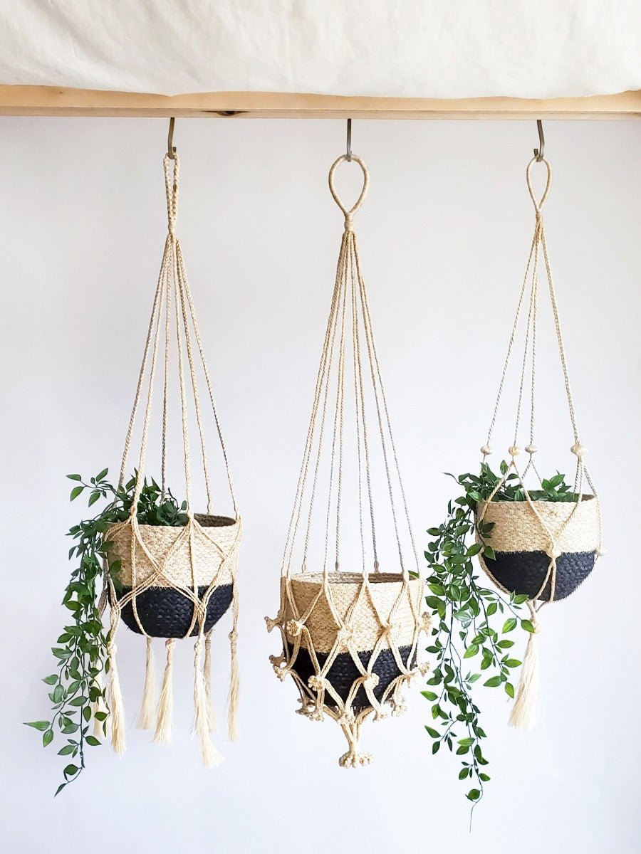 Plant Hanger - Nadu - Freedom Ranch