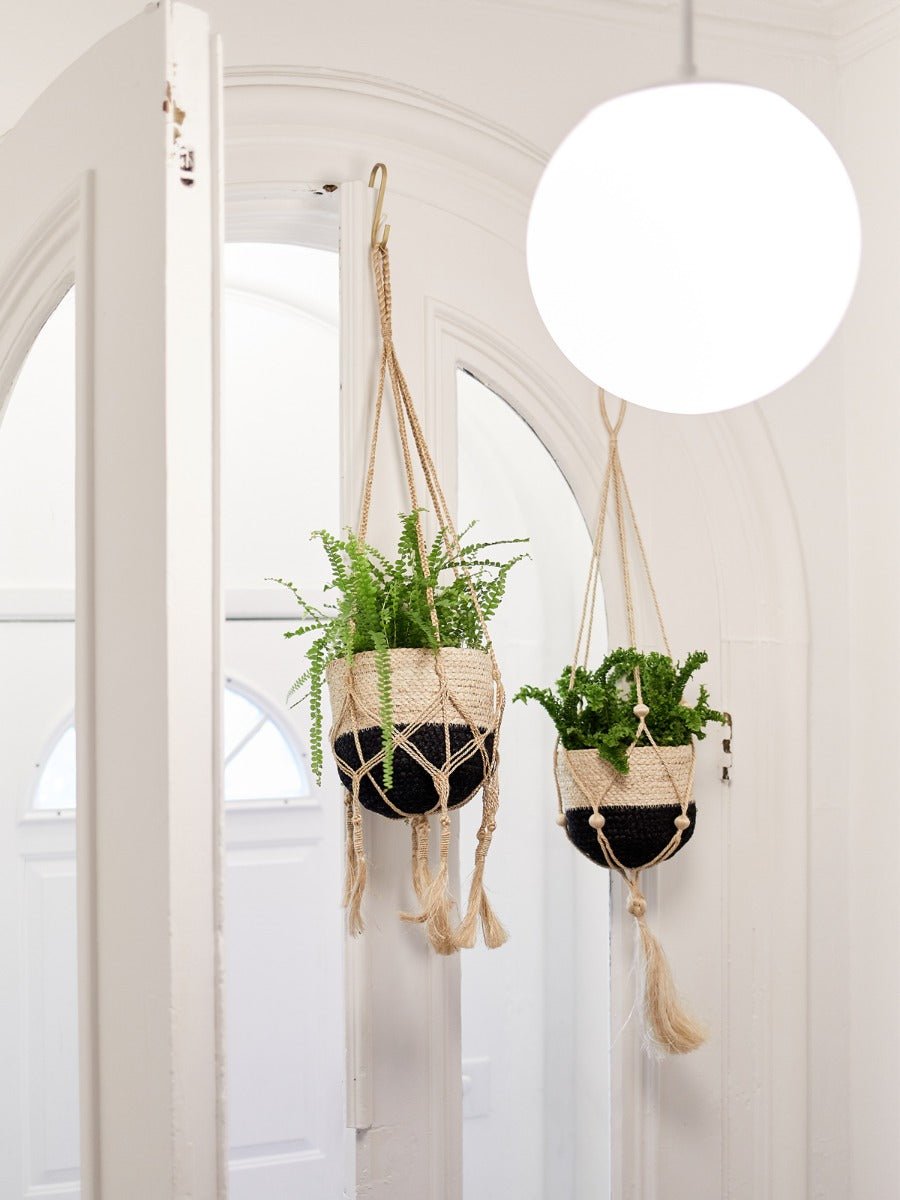 Plant Hanger - Nadu - Freedom Ranch