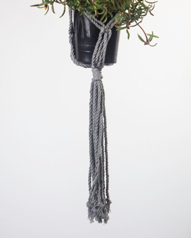 Santana Macrame Plant Holder | Gray - Freedom Ranch