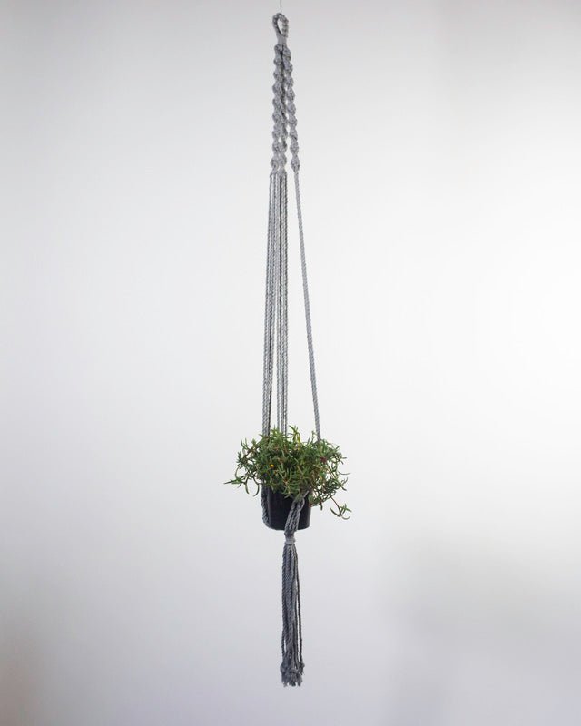 Santana Macrame Plant Holder | Gray - Freedom Ranch