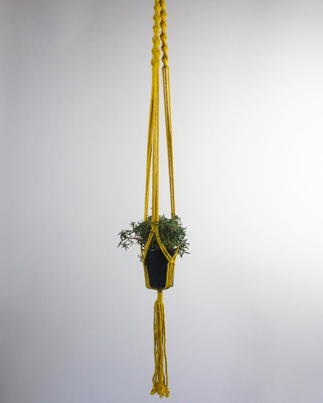 Santana Macrame Plant Holder | Yellow - Freedom Ranch