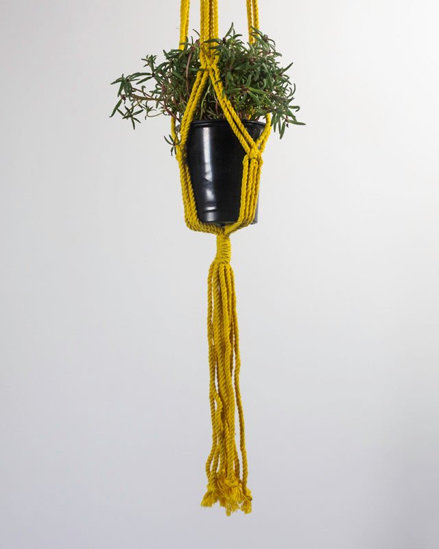 Santana Macrame Plant Holder | Yellow - Freedom Ranch