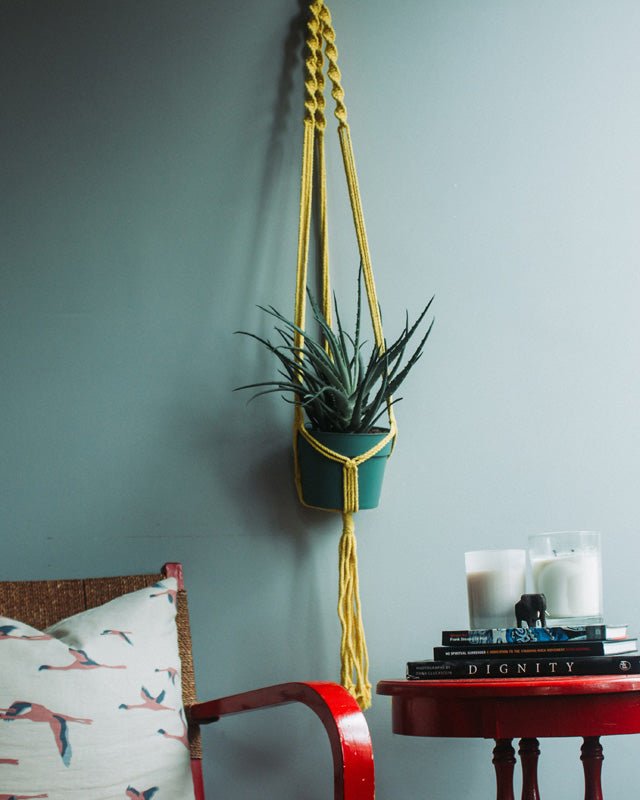 Santana Macrame Plant Holder | Yellow - Freedom Ranch
