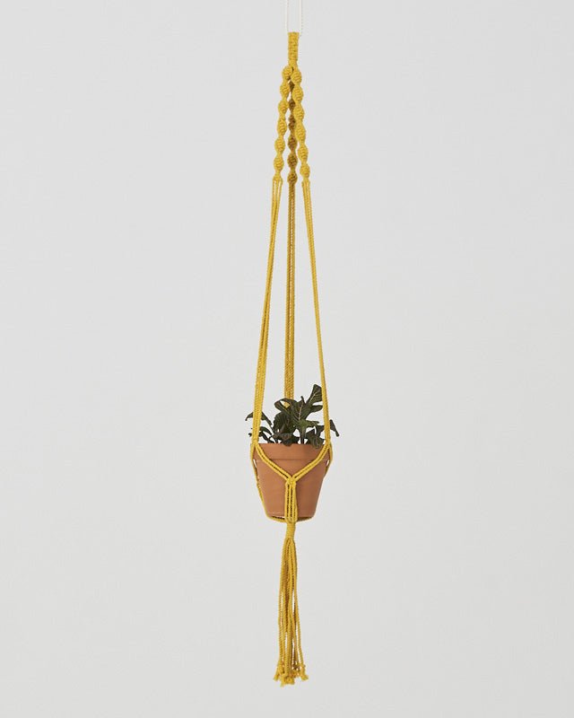 Santana Macrame Plant Holder | Yellow - Freedom Ranch