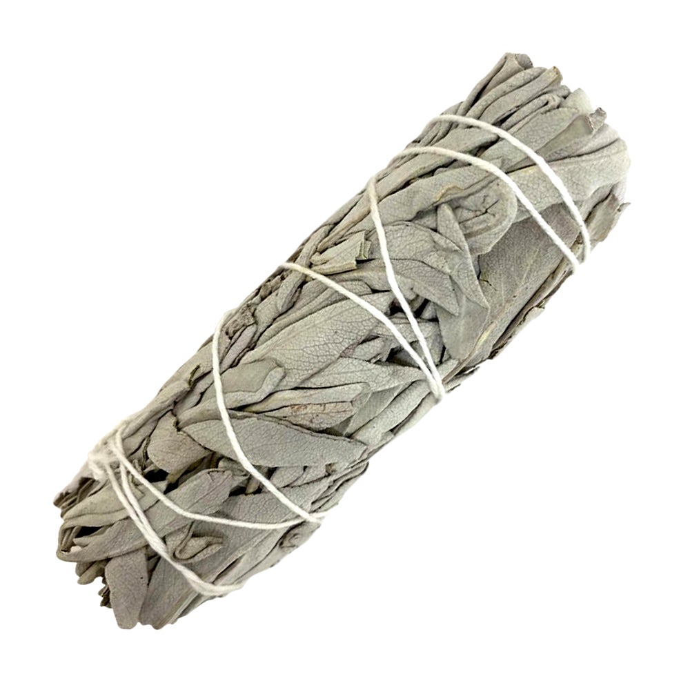 White Sage Smudge - Bundle 6" - Freedom Ranch